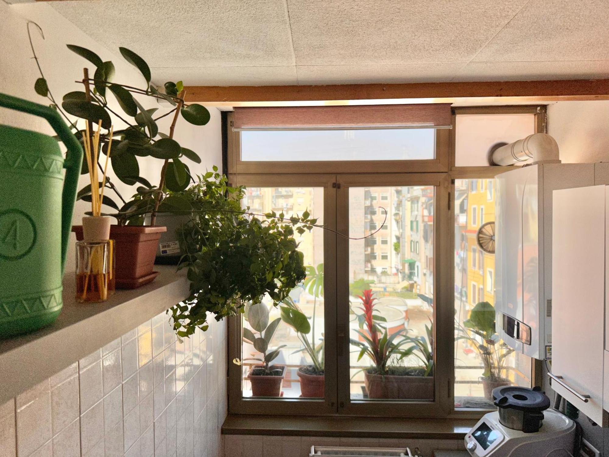 Grimaldi House公寓 外观 照片